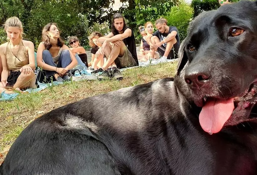 Wiki Hostel & Greenvillage