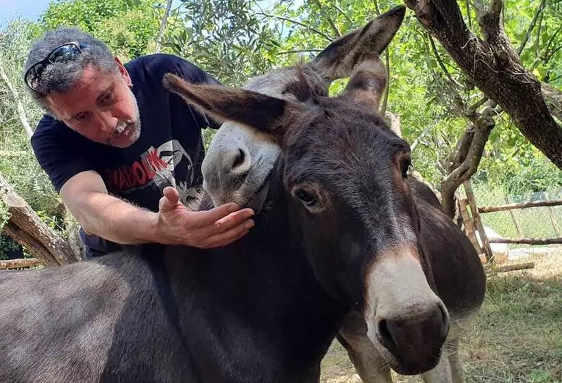 Wiki Hostel & Greenvillage