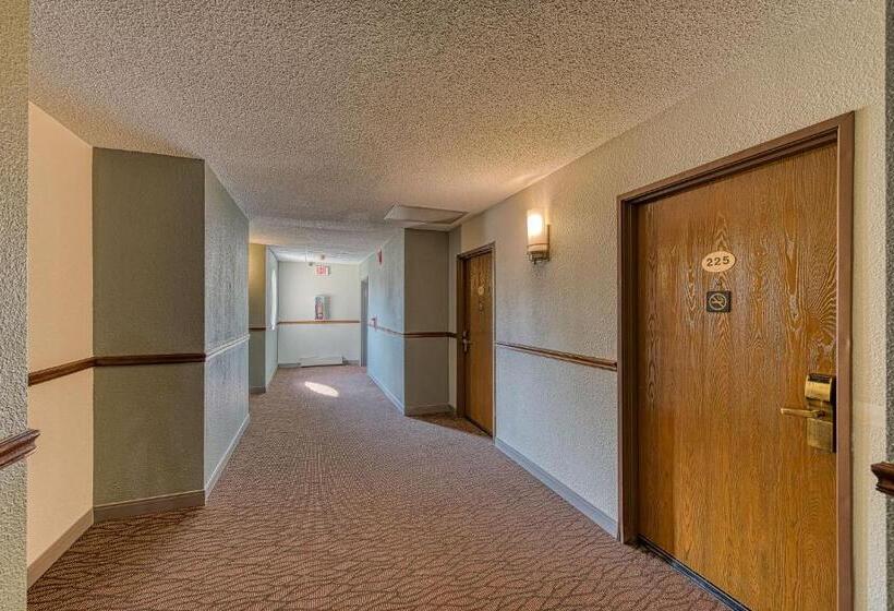 فندق American Inn & Suites