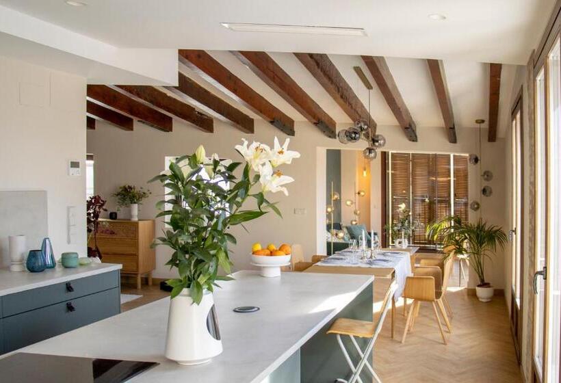 Singularstays Santa Cruz 9