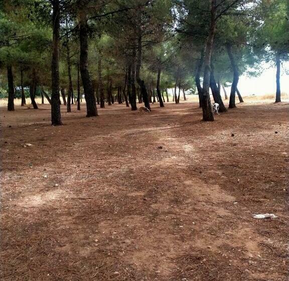 El Refugio Bed & Breakfast