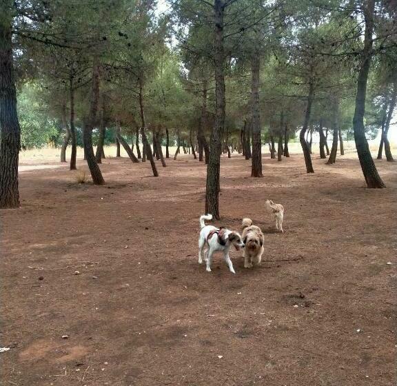 El Refugio Bed & Breakfast