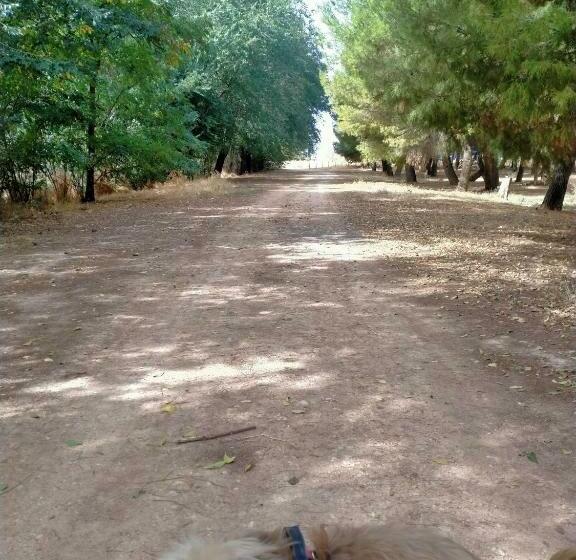 El Refugio Bed & Breakfast