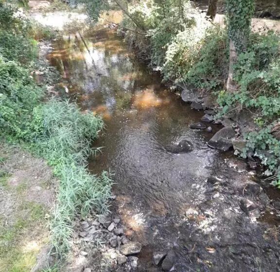 Belle Maison De Ville Sur 2 étages Dans Le Quartier Historique Paisible De La Ville Avec Terrasse Pr