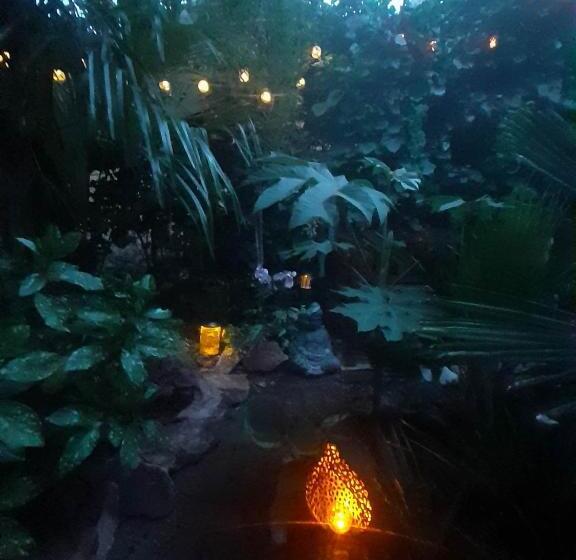 House W Little Tropical Garden