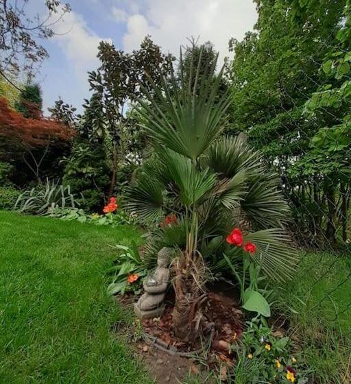 House W Little Tropical Garden