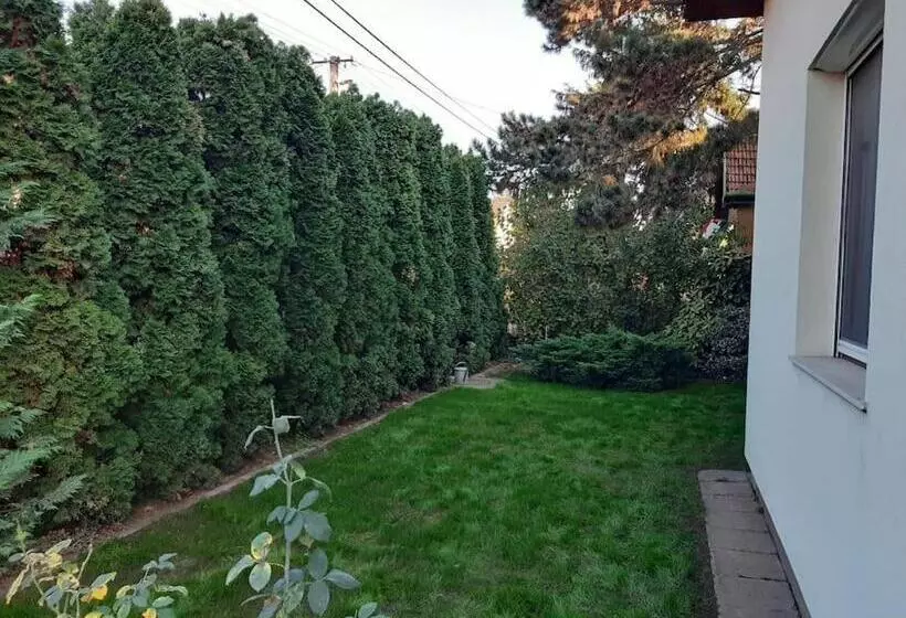 House W Little Tropical Garden