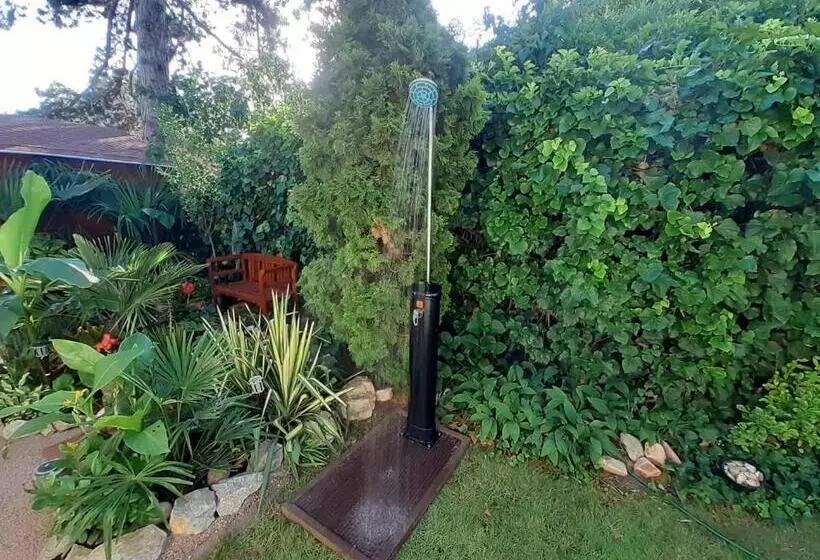 House W Little Tropical Garden