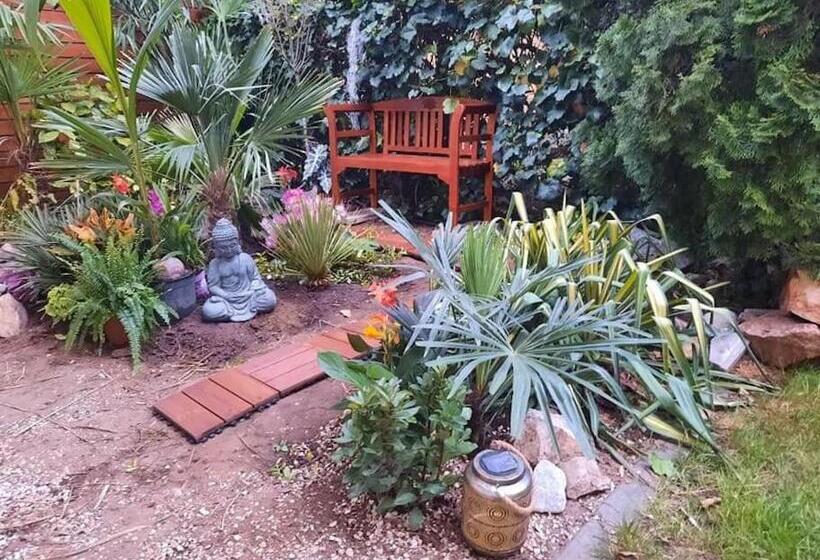 House W Little Tropical Garden