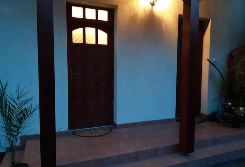 House W Little Tropical Garden