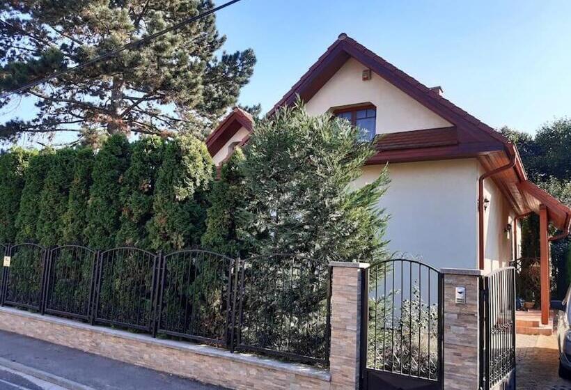 House W Little Tropical Garden