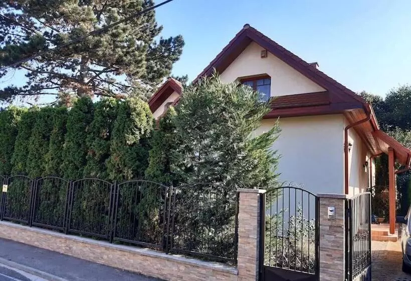 House W Little Tropical Garden