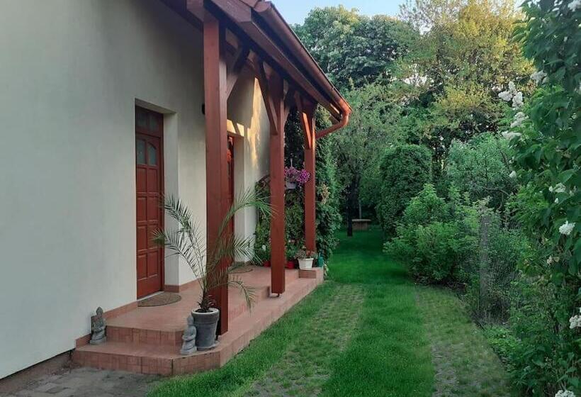 House W Little Tropical Garden