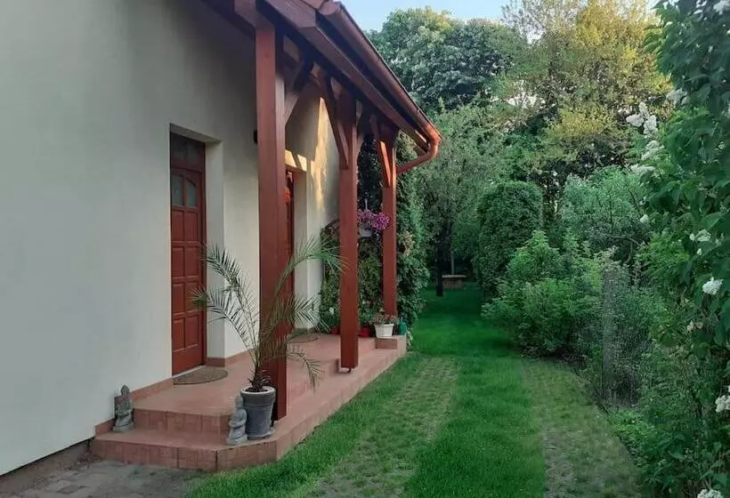 House W Little Tropical Garden