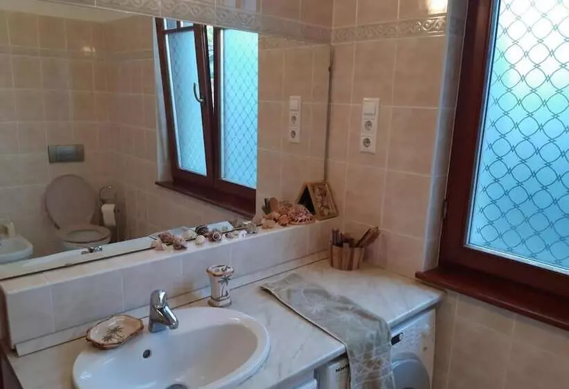 House W Little Tropical Garden