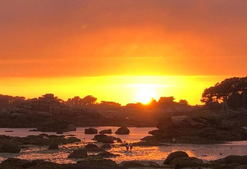 Le Cheval D’en Fer