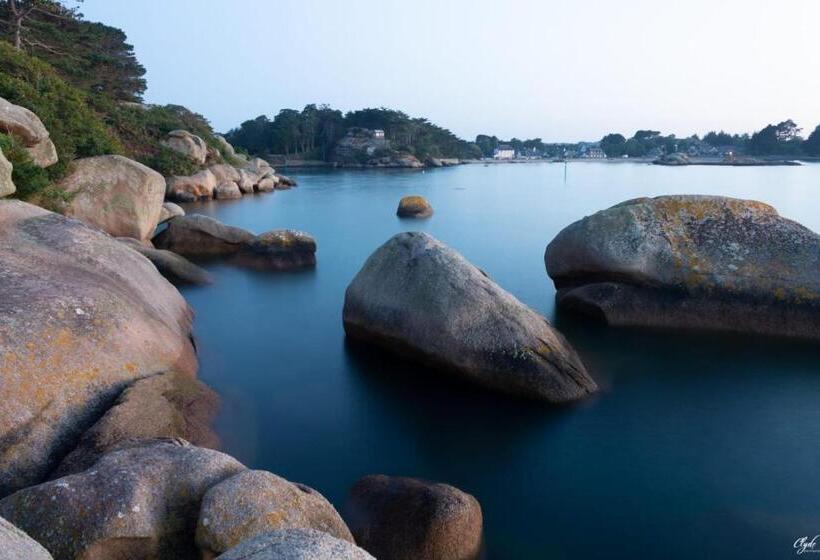 Le Cheval D’en Fer