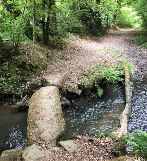 Le Cheval D’en Fer