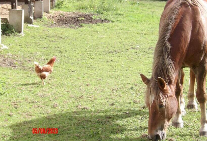 Le Cheval D’en Fer