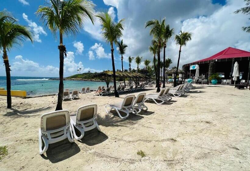 Manganao Studio Supérieur