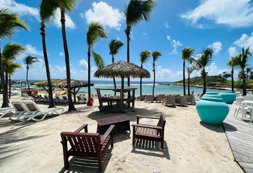 Manganao Studio Supérieur