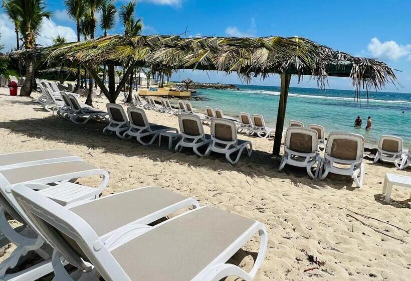 Manganao Studio Supérieur