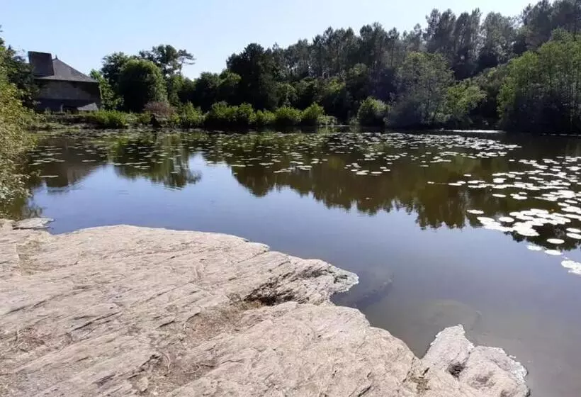 Moulin Menhirs & Zone Naturelle Protégée