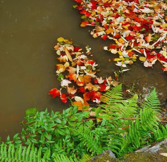 Moulin Menhirs & Zone Naturelle Protégée