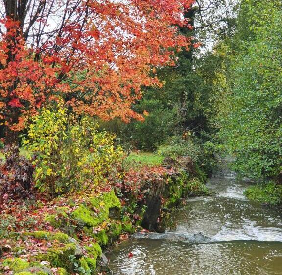 Moulin Menhirs & Zone Naturelle Protégée
