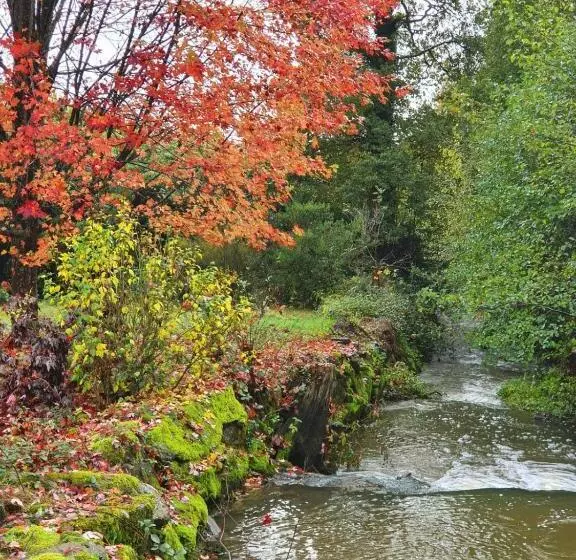 Moulin Menhirs & Zone Naturelle Protégée