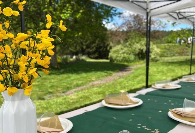 Moulin Menhirs & Zone Naturelle Protégée