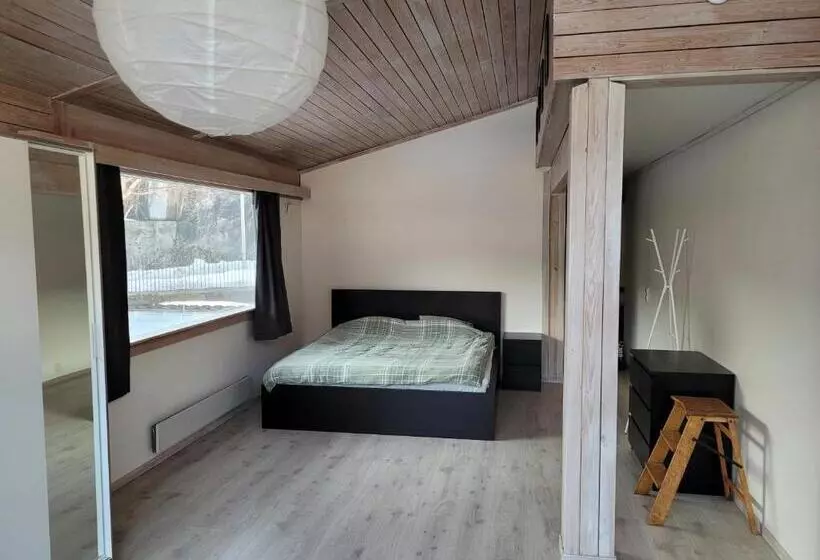 Svingen Apartments