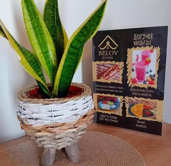 Belov Rooms And Apartments
