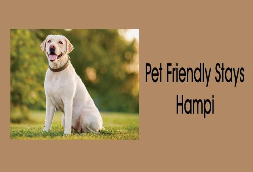 بنسيون 3season Resort Hampi