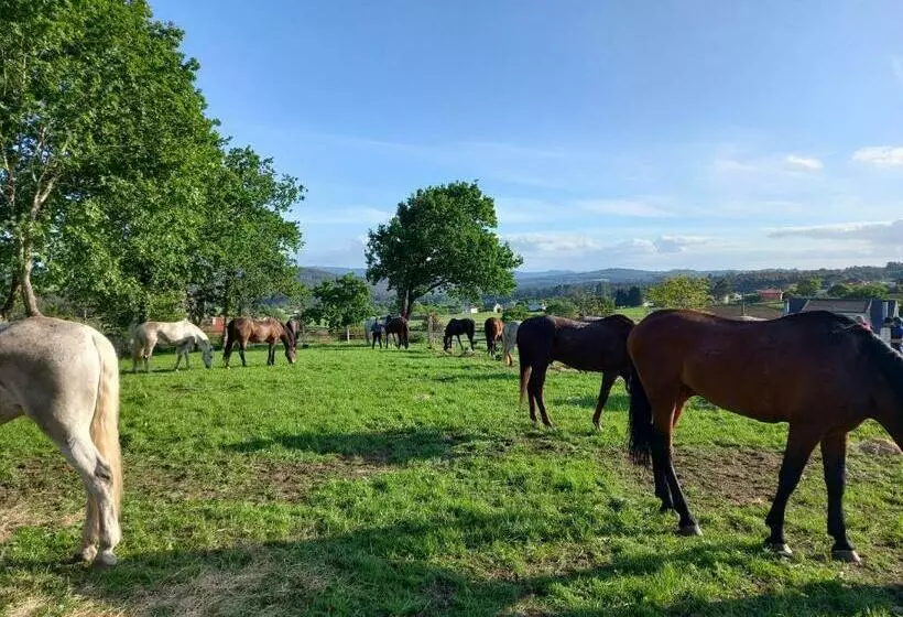ペンション La Puerta De Arzúa
