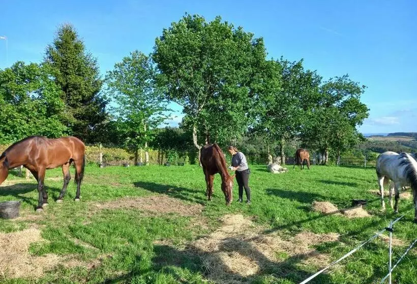 ペンション La Puerta De Arzúa