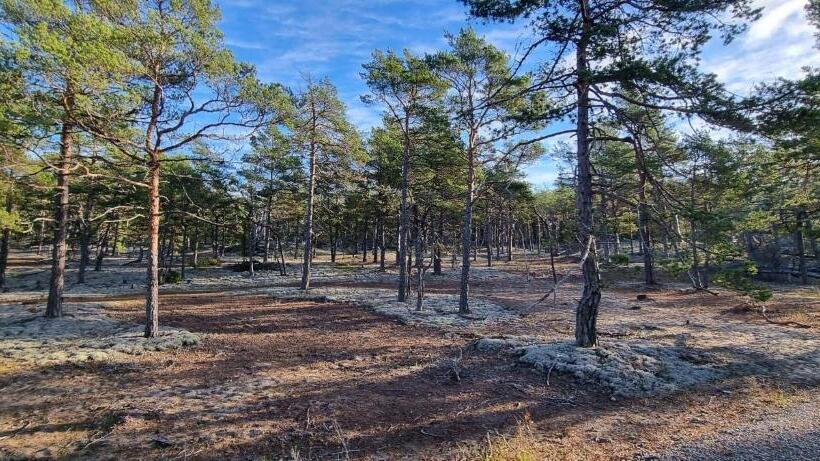 Trevlig Fritidshus På Norra öland