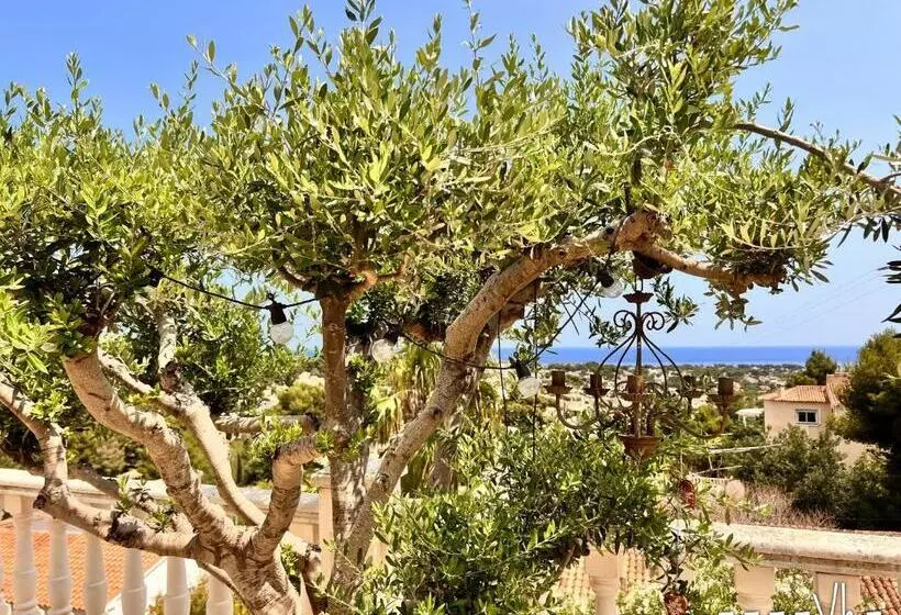 Vh Costablanca   Zen