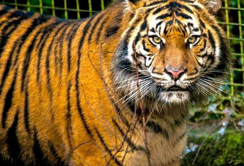 Beautiful Ancient Stone Cottage, Local Walks & Pub!