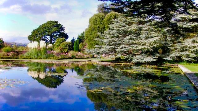 Beautiful Ancient Stone Cottage, Local Walks & Pub!