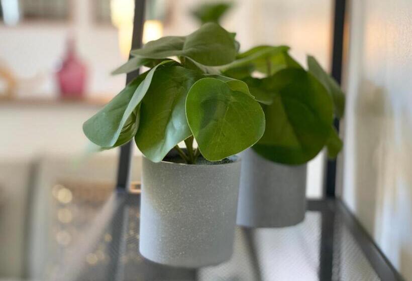 L’aventurine   étretat