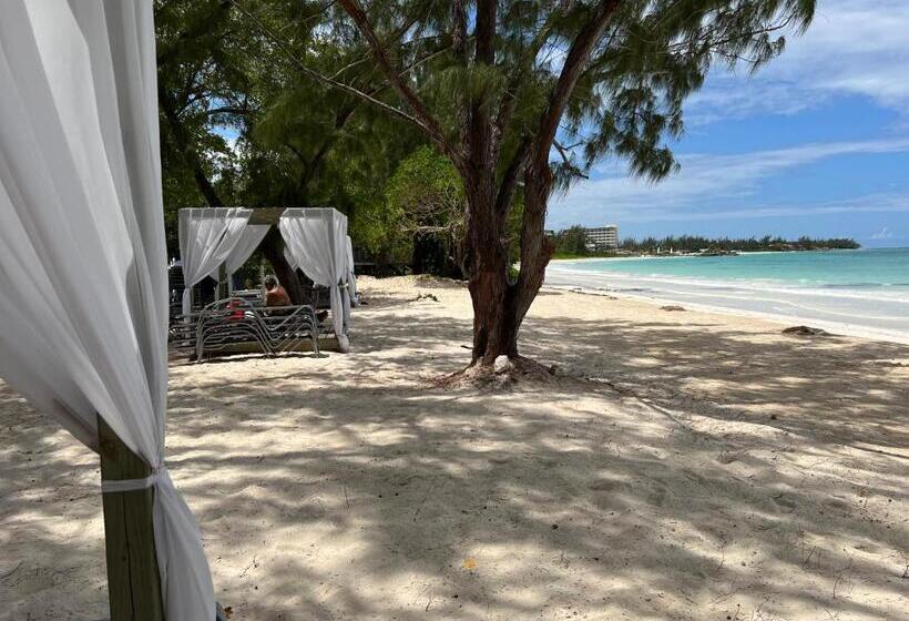 Luxury Studio Rooftop Pool N View Unit #4