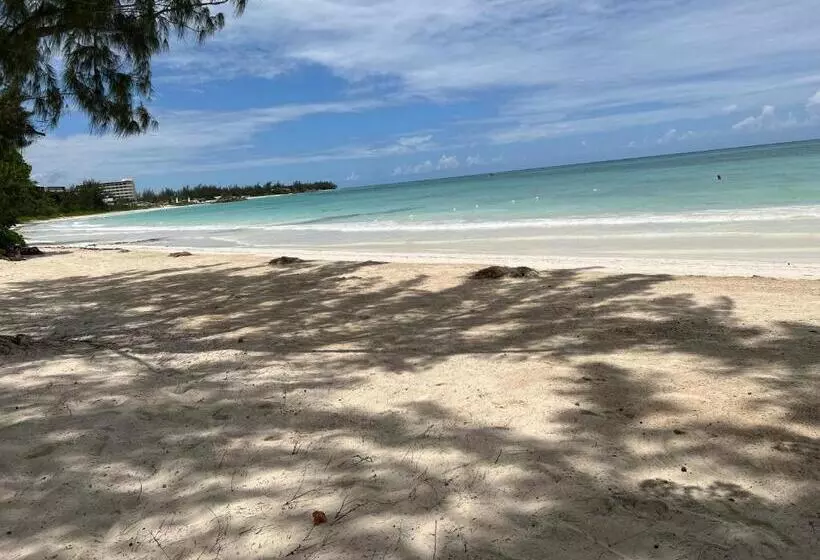 Luxury Studio Rooftop Pool N View Unit #4