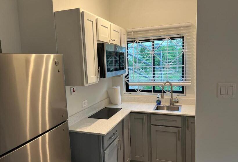 Luxury Studio Rooftop Pool N View Unit #4