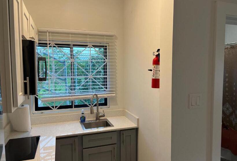 Luxury Studio Rooftop Pool N View Unit #4