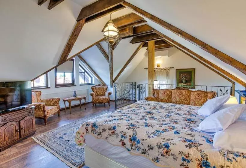 Casa Ambient