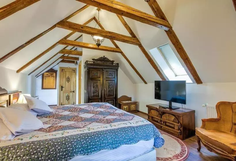 Casa Ambient