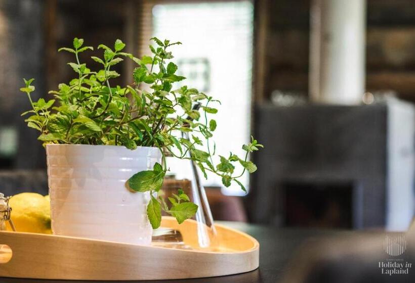 Holiday In Lapland   Riekkopolku 2 B