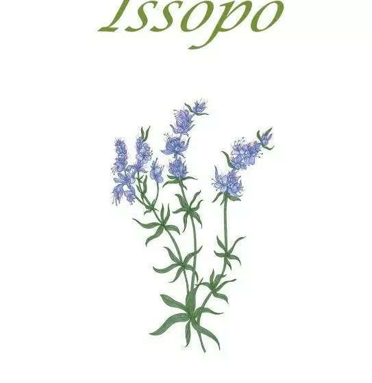 ホテル Casa Degli Aromi Armonie Aromatiche