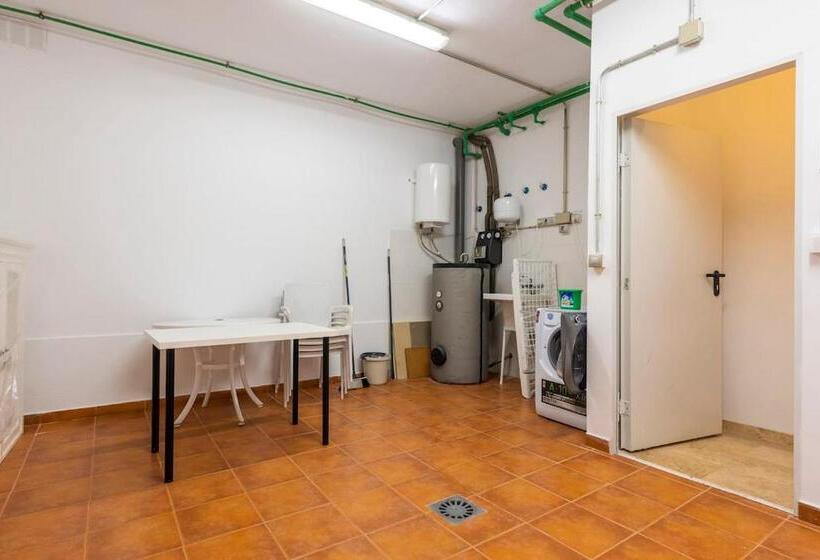 Modern Bright And Welcoming Ocean View Apartment